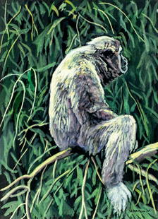 Evelyn Metzger (NY,Brazil,1911-2007) oil painting: ARTIST: Evelyn Borchard Metzger (New York, Brazilian, 1911 - 2007) TITLE: Gibbon (titled on verso) YEAR: 1995 MEDIUM: oil on board CONDITION: Overall good. No visible inpaint under UV light. Normal