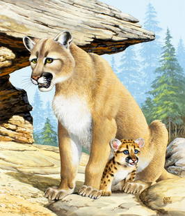 Chuck Ripper (WV,PA,1929-2019) gouache painting: ARTIST: Chuck Ripper (West Virginia, Pennsylvania, 1929 - 2019) TITLE: Mountain Lion - Cougar (titled on verso) YEAR: 1997 MEDIUM: gouache on board CONDITION: Very good. ART SIZE: 15 x 13 inches /