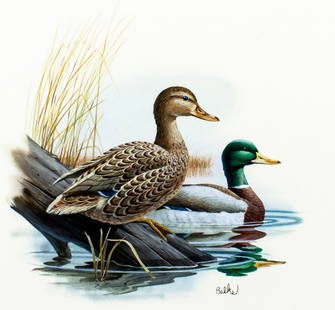 Don Balke (NC,1933-?) gouache painting: ARTIST: Don Balke (North Carolina, 1933 - ???) TITLE: Ducks - Mallards (titled on verso) YEAR: 1984 MEDIUM: gouache and watercolor on board CONDITION: