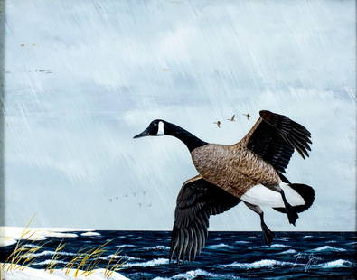 Bob Jones (DE,20C) oil painting: ARTIST: Bob Jones (Delaware, 20 century) TITLE: Canada Goose YEAR: 1987 MEDIUM: oil on board CONDITION: Few minor paint losses. No visible inpaint under