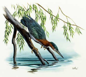 Don Balke (NC,1933-?) gouache painting: ARTIST: Don Balke (North Carolina, 1933 - ???) TITLE: Green-backed Heron Bird, Vermont (titled on verso) YEAR: 1986 MEDIUM: gouache and watercolor on board COND