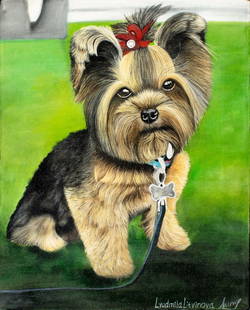 Lyudmila Litvinova (Russia,b 1991) acrylic painting: ARTIST: Lyudmila Litvinova (Russian, born 1991) TITLE: Yorkshire Terrier Dog MEDIUM: acrylic on canvas CONDITION: Unstretched (In-House stretching available). Very good. No
