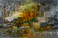 item-206079712=3