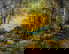 item-206079712=5