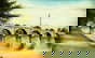 item-206079756=1