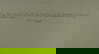 item-206079765=13