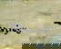item-206079768=4