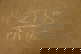 item-206079789=13