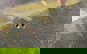 item-206079809=11