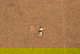 item-206079809=15