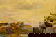 item-206079838=8