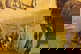 item-206079838=9