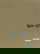 item-206079862=9