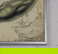 item-206079899=10