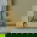 item-206079989=12
