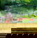 item-206080012=4