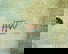 item-206080018=4