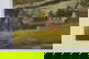 item-206080020=11