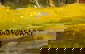 item-206080020=5