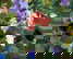 item-206080046=8