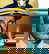 item-206080076=7