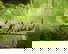 item-206080135=4