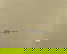 item-206080135=9