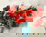 item-206080146=1