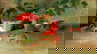 item-206080159=1