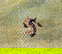 item-206080205=4