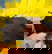 item-207208038=8