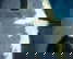 item-207208039=8