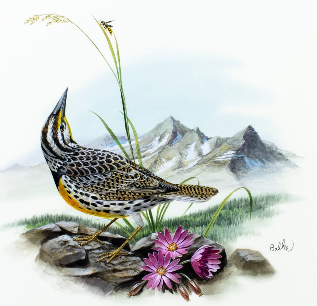 Don Balke (NC,1933-?) gouache painting: ARTIST: Don Balke (North Carolina, 1933 - ???) TITLE: Meadowlark Bird, Montana (titled on verso) YEAR: 1985 MEDIUM: gouache and watercolor on board CONDITION:<