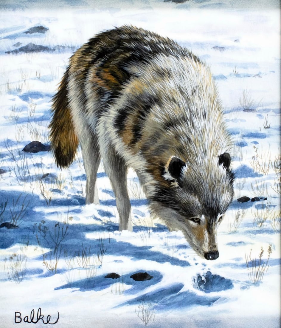 Don Balke (NC,1933-?) gouache painting: ARTIST: Don Balke (North Carolina, 1933 - ???) TITLE: Gray Wolf (titled on verso) YEAR: 2003 MEDIUM: gouache and watercolor on board CONDITION: Very go