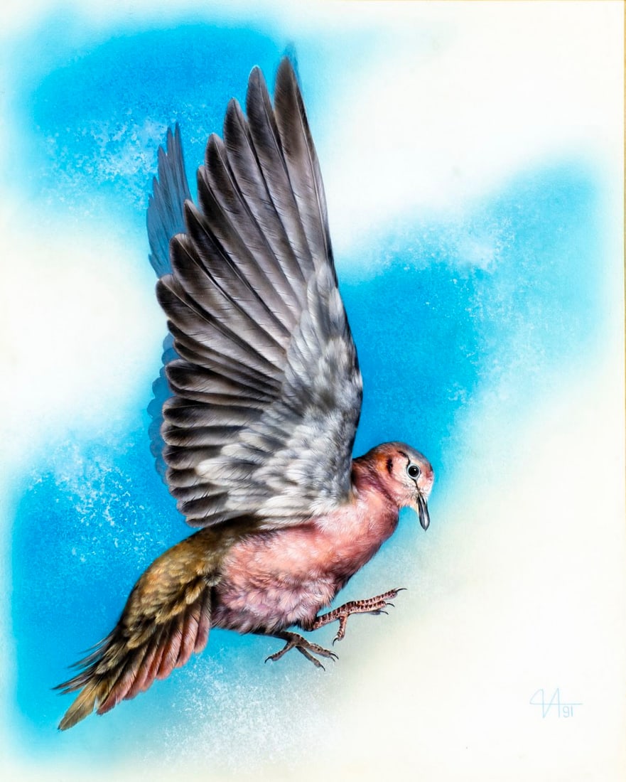 Alexei Isakov (Russia,20C) gouache painting: ARTIST: Alexei Isakov (Russian, 20 century) TITLE: Grenada Grenadines - Eared Dove (titled on verso) YEAR: 1991 MEDIUM: gouache on paper. Paper applied to board.