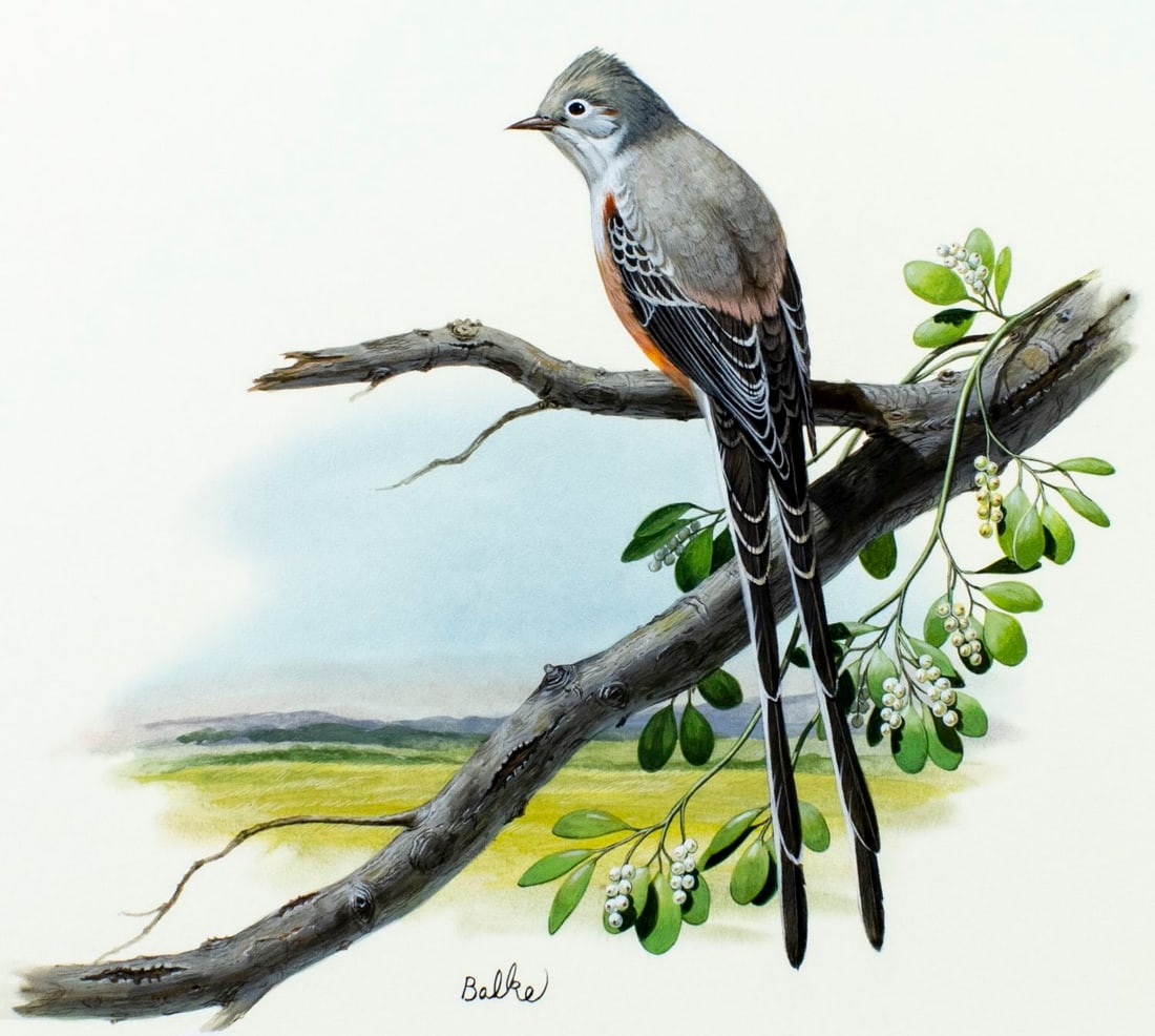 Don Balke (NC,1933-?) gouache painting (1 of 13)