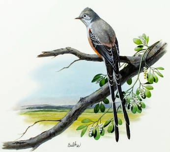Don Balke (NC,1933-?) gouache painting: ARTIST: Don Balke (North Carolina, 1933 - ???) TITLE: Scissor-tailed Flycatcher Bird, Oklahoma (titled on verso) YEAR: 1985 MEDIUM: gouache and watercolor on board