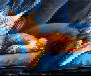 Alex Siryi (Ukraine,b 1997) oil painting: ARTIST: Alex Siryi (Ukrainian, born 1997) TITLE: Ginger Cat MEDIUM: oil on canvas CONDITION: Unstretched (In-House stretching available). Very good. No visible inpaint under