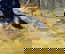item-207208130=8