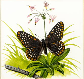 Paul Connor (RI,20C) watercolor painting: ARTIST: Paul Connor (Rhode Island, 20 century) TITLE: Orange-Tip Butterfly YEAR: 1990 MEDIUM: watercolor on heavy paper CONDITION: Very good. Framed under glass. Some scratches to glass. Wear to