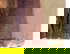 item-207208258=4