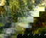 item-207208368=7