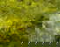 item-207208368=8