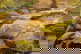 item-207208436=7