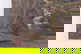 item-207208436=9