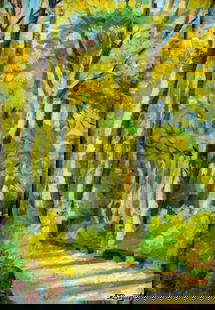E Bogites (US,mid 20C) oil painting: ARTIST: E Bogites (American, mid 20 century) TITLE: Autumn Forest Landscape MEDIUM: oil on board CONDITION: Minor craquelure. One small faint scratch. No visible inpaint und