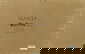 item-207208524=9