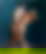 item-207208638=1