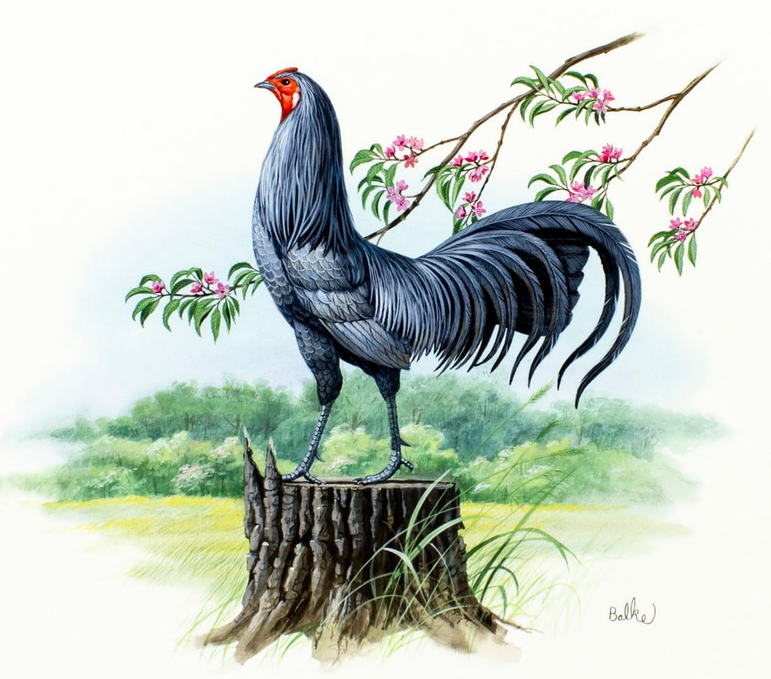 Don Balke (NC,1933-?) gouache painting (1 of 13)