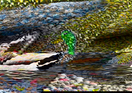 Chance Tedesco (PA,20/21C) oil painting: ARTIST: Chance Tedesco (Pennsylvania, 20/21 centuries) TITLE: Two Ducks YEAR: 2021 MEDIUM: oil on board CONDITION: Very good. No visible inpaint under UV